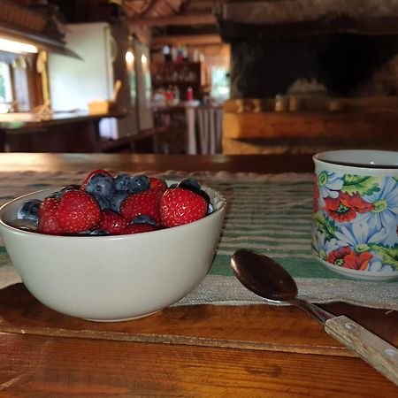 Vila Anni Tourism Farm Tammese Exteriér fotografie