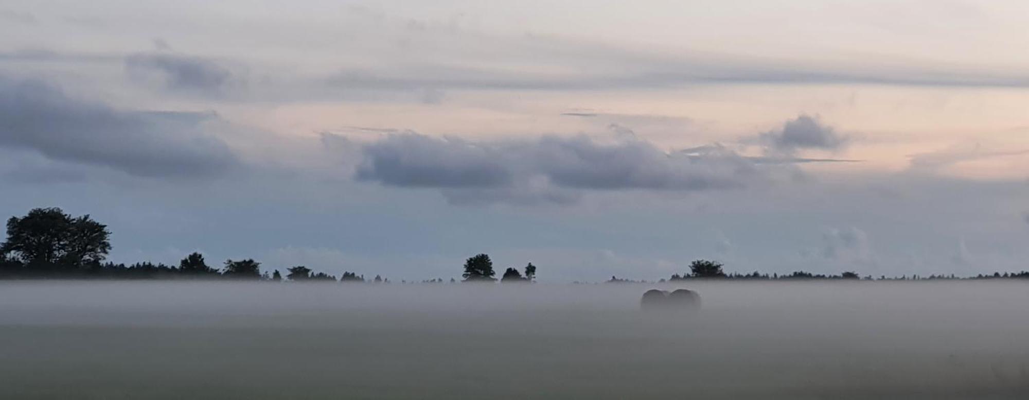 Vila Anni Tourism Farm Tammese Exteriér fotografie