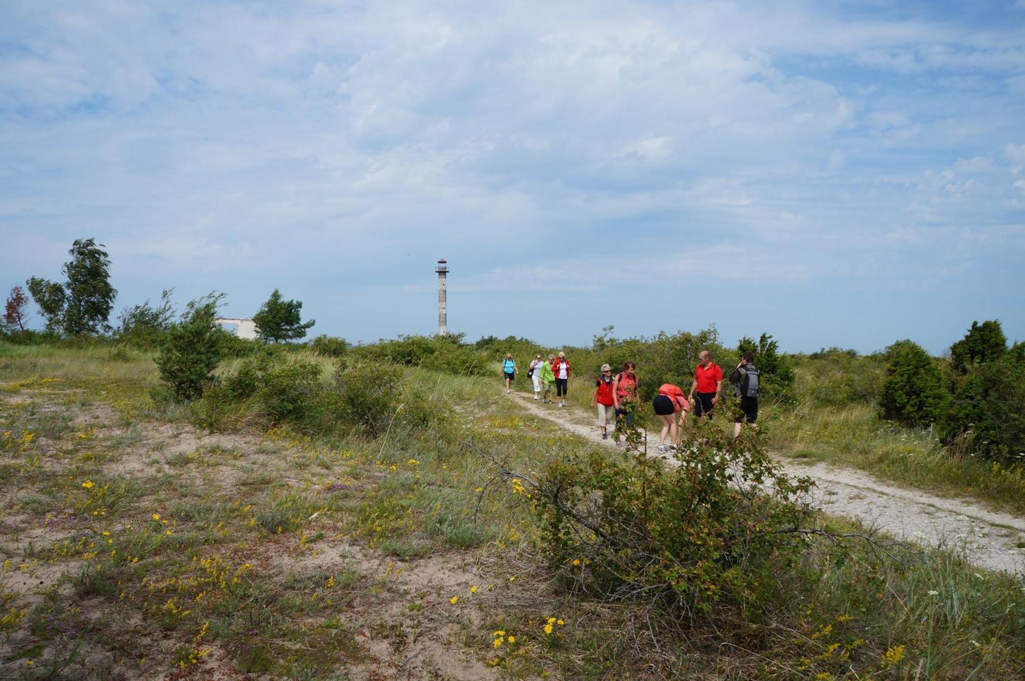 Vila Anni Tourism Farm Tammese Exteriér fotografie