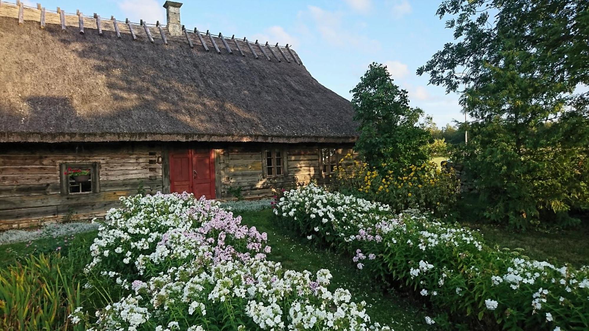 Vila Anni Tourism Farm Tammese Exteriér fotografie