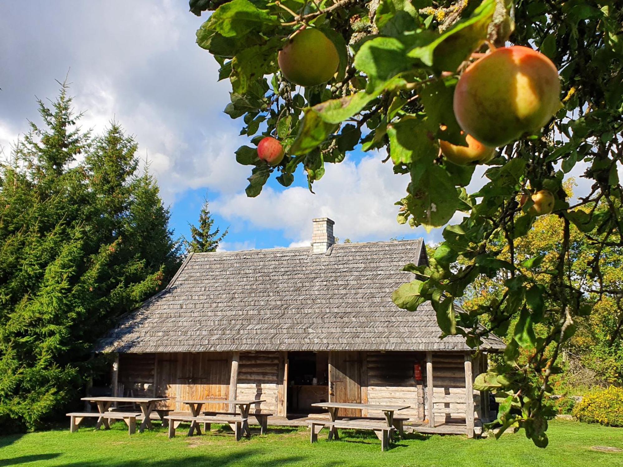 Vila Anni Tourism Farm Tammese Exteriér fotografie
